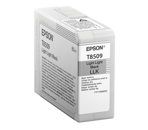 Epson Light Light Black T850900 80 ml