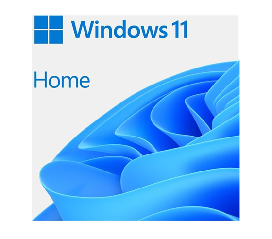 Microsoft Windows 11 Home CZ (OEM) - DVD